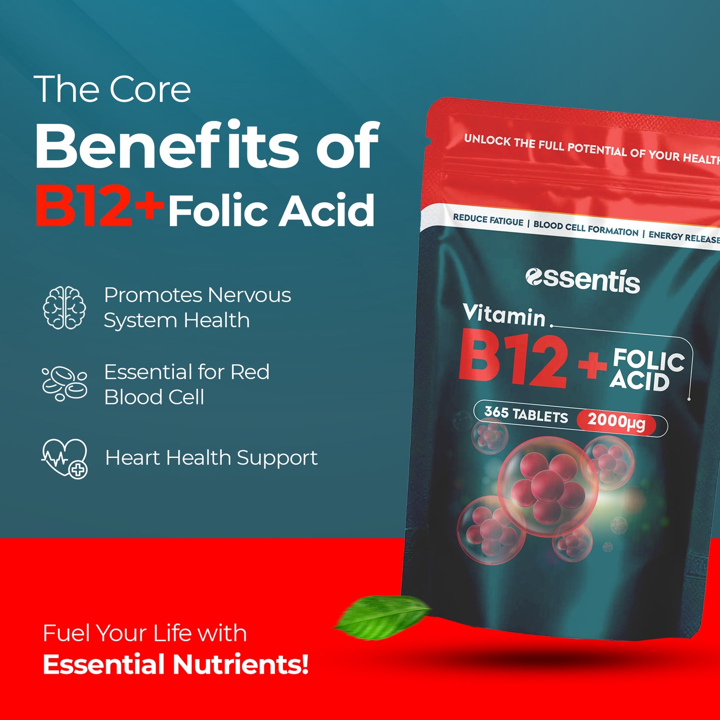 Vitamin B12 + Folic Acid