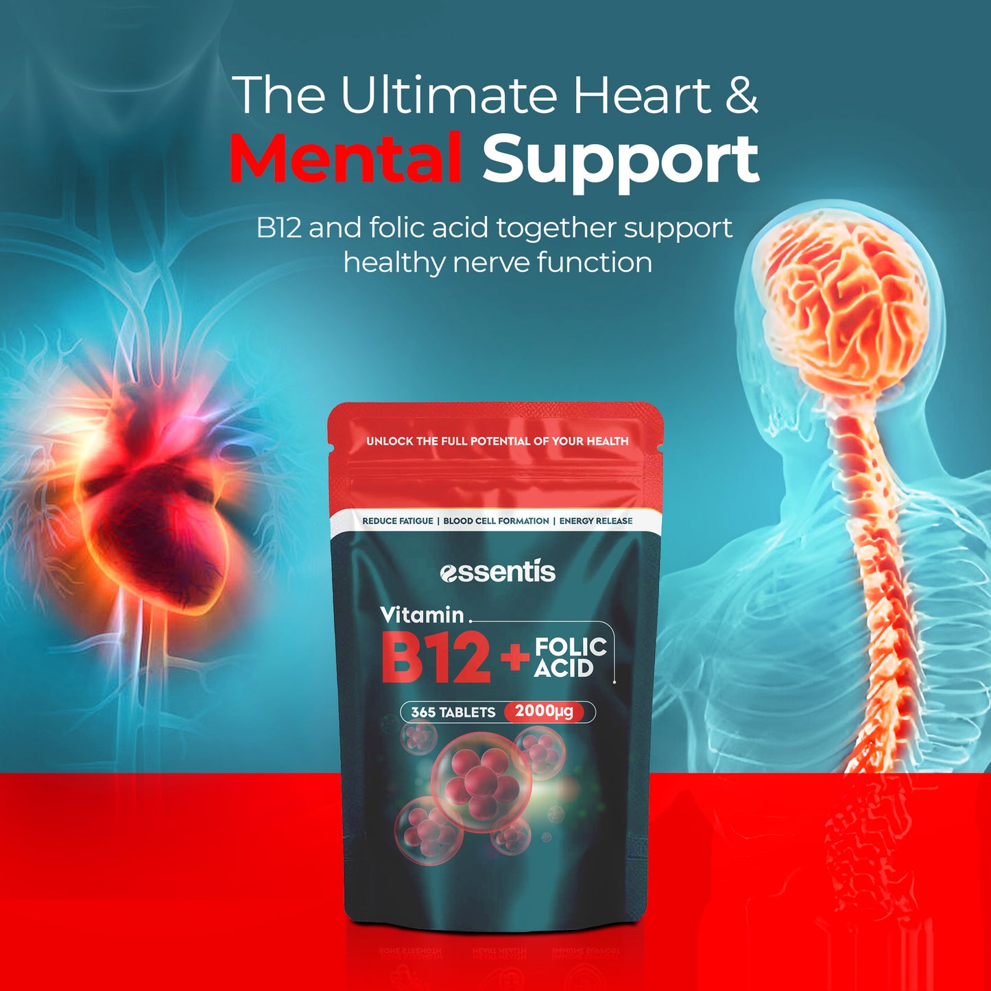 Vitamin B12 + Folic Acid