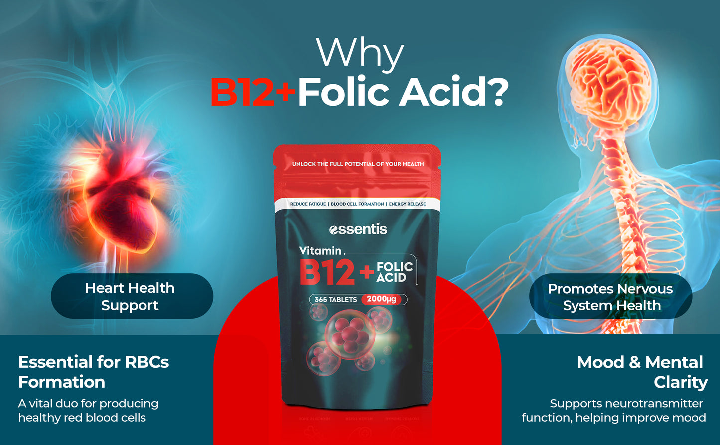 Vitamin B12 + Folic Acid